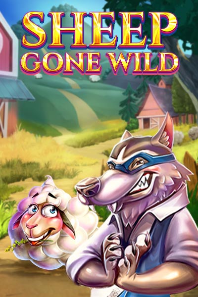 Sheep Gone Wild